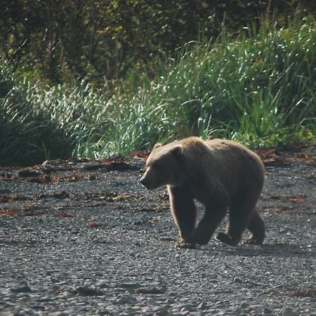 9Th Wave Bed And Breakfast Kodiak Bagian luar foto